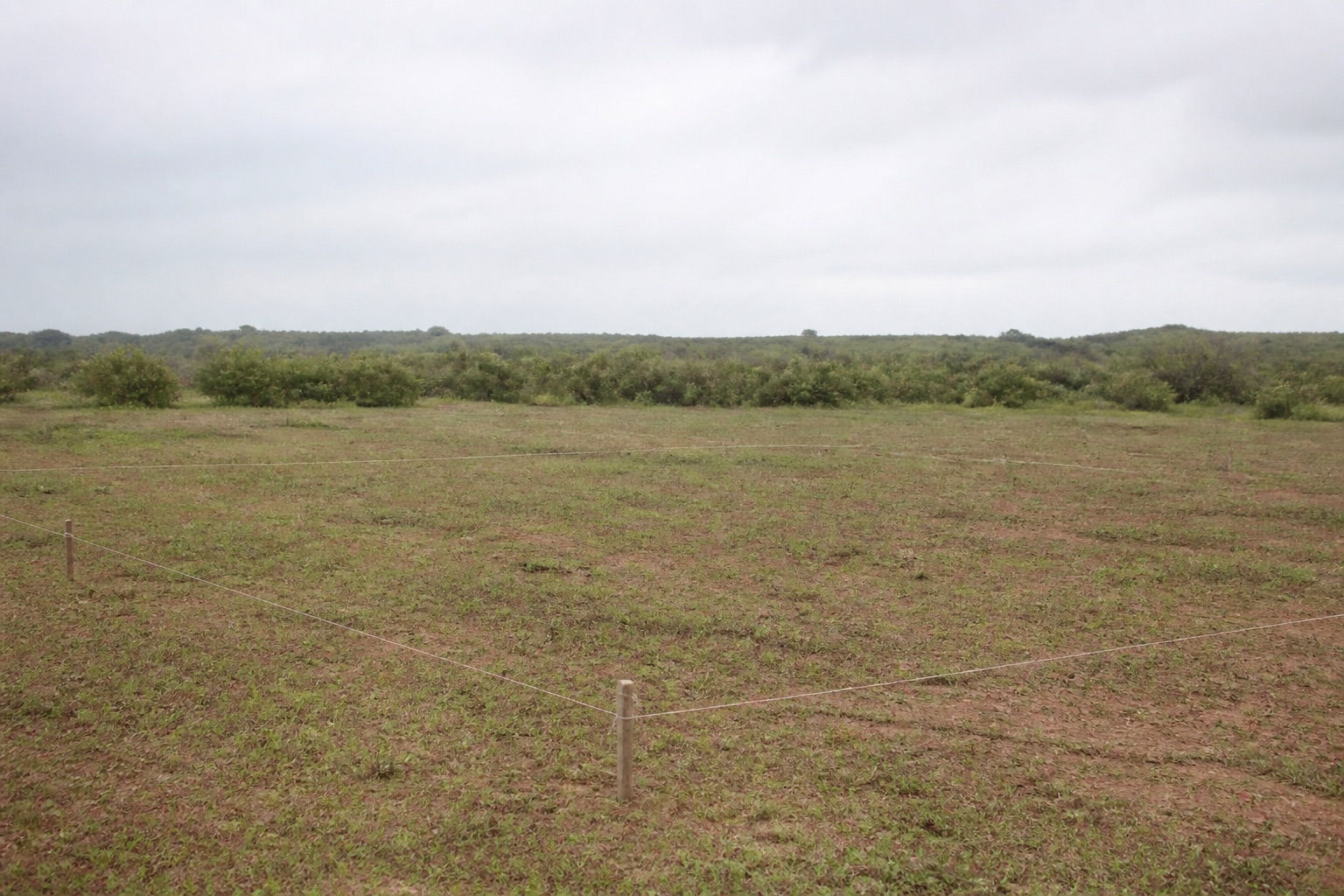 Illustrative image, not a photograph of the listed property